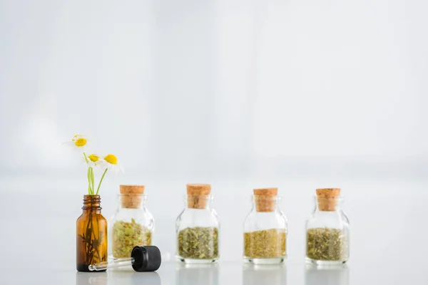 Frascos de corcho con hierbas secas cerca de la botella con margaritas sobre fondo blanco con espacio para copiar - foto de stock
