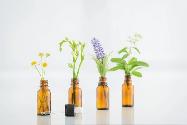 Chamomile, freesia, salvia and hyacinth flowers in glass bottles near dropper on white background — Stock Photo