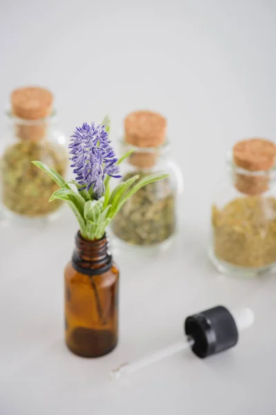 Foco seletivo de conta-gotas e jacinto em garrafa de vidro perto de frascos de cortiça com ervas secas na superfície branca — Fotografia de Stock