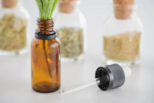 Selective focus of dropped near bottler with green plant and corked jars with dried herbs on white surface — Stock Photo