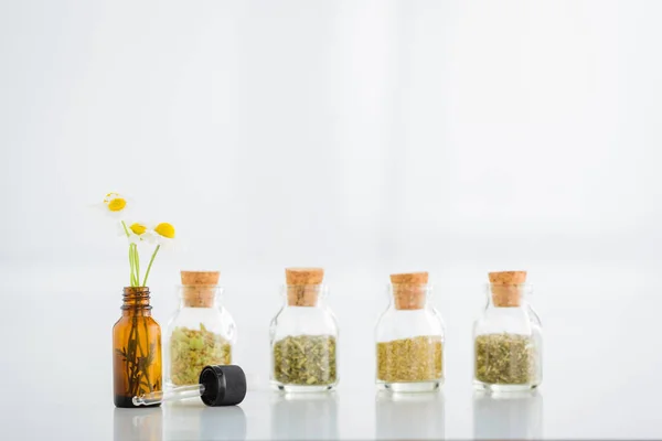 Bouteille en verre avec fleurs de camomille, compte-gouttes et pots en liège avec herbes séchées sur fond blanc avec espace de copie — Photo de stock