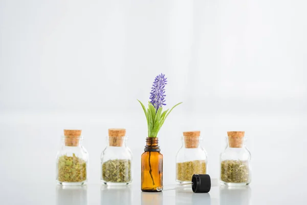 Pots en liège avec herbes séchées et bouteille avec jacinthe fleur sur fond blanc — Photo de stock