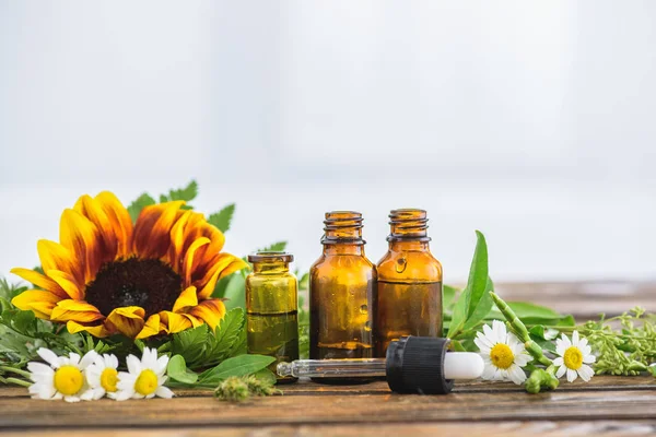 Girasole, fiori di camomilla, bottiglie con oli essenziali e contagocce su fondo bianco — Foto stock