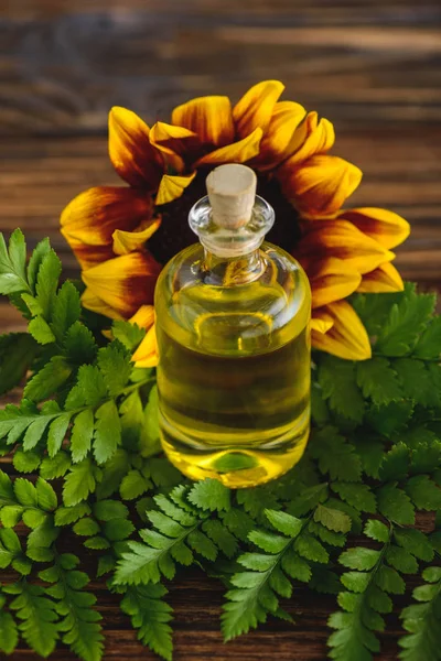 Folhas de samambaia, girassol e garrafa de cortiça com óleo essencial na superfície de madeira — Fotografia de Stock