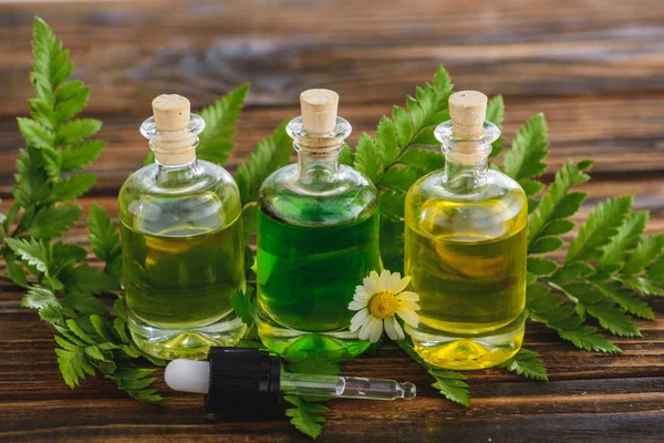 Botellas de corcho con aceites esenciales, gotero, hojas de helecho y flor de manzanilla en la superficie de madera - foto de stock