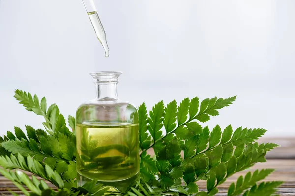 Flasche mit ätherischem Öl, Tropfer und grünen Farnblättern auf weißem Hintergrund — Stockfoto