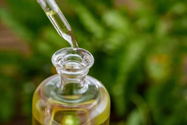 Dropper and glass bottle with essential oil on green background — Stock Photo