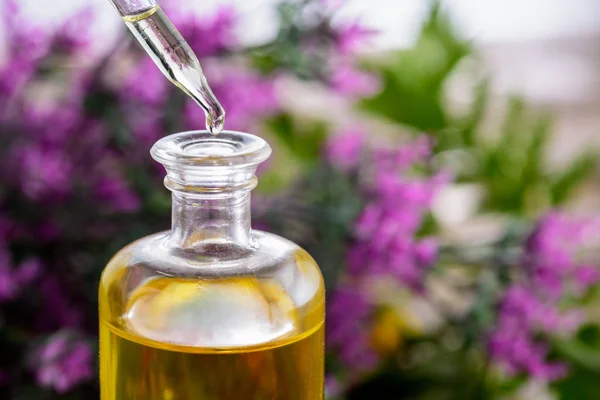 Flasche mit ätherischem Öl und Tropfer auf buntem floralem Hintergrund — Stockfoto