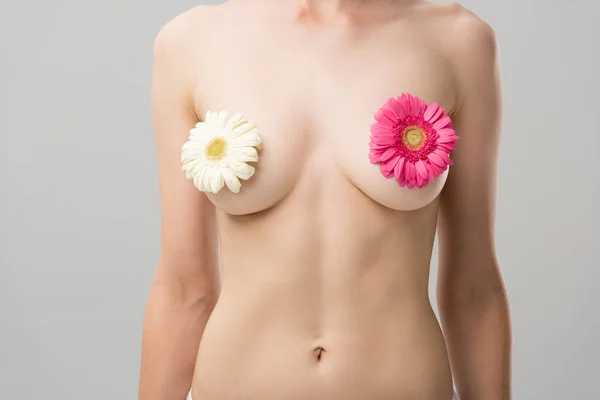 Vista parcial de mujer joven desnuda con flores aisladas en gris - foto de stock