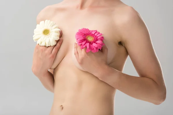 Partial view of naked young woman with flowers isolated on grey — Stock Photo