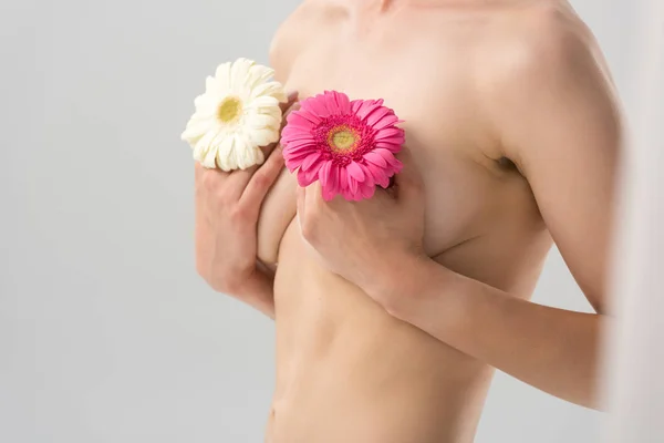 Vista parcial de mujer joven desnuda con flores aisladas en gris - foto de stock