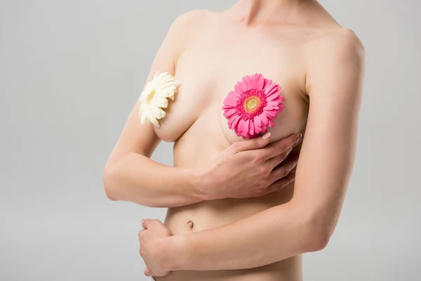 Vista parcial de mujer joven desnuda con flores aisladas en gris - foto de stock