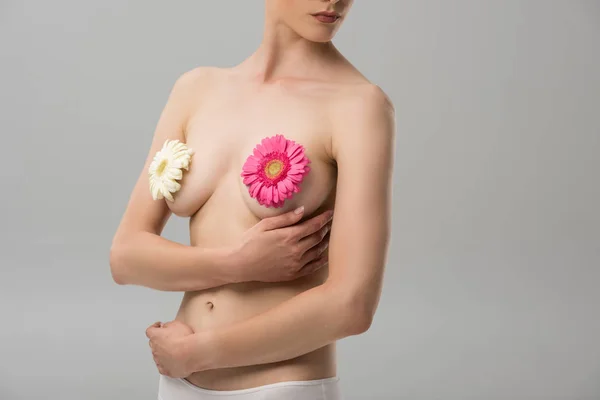 Частичный вид обнаженной молодой женщины с цветами, изолированными на сером — стоковое фото