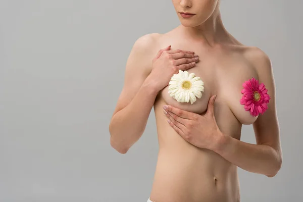 Vue partielle de jeune femme nue avec des fleurs isolées sur gris — Photo de stock