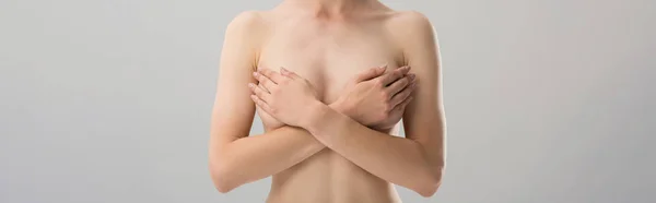 Panoramic shot of naked woman covering breast isolated on grey — Stock Photo