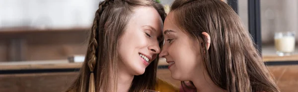 Tiro panorâmico de duas lésbicas sorridentes na sala de estar — Fotografia de Stock