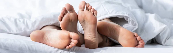 Panoramic shot of two barefoot lesbians lying under blanket — Stock Photo