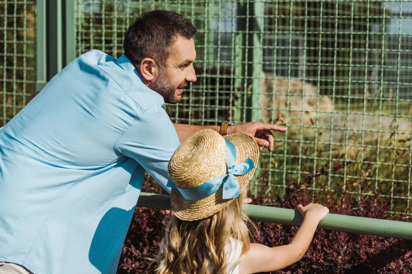 Guapo hombre apuntando con el dedo a la jaula mientras está de pie con su hija en el zoológico - foto de stock