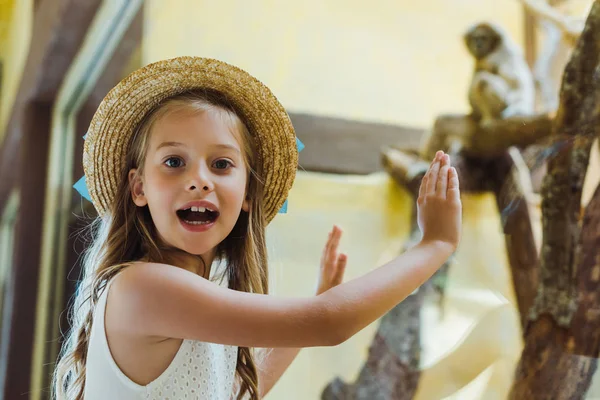 Vista angolo basso di bambino carino in cappello di paglia mettere le mani sulla finestra vicino scimmia nello zoo — Foto stock