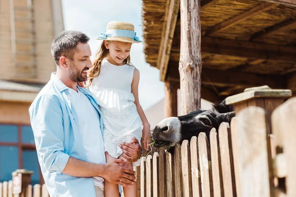 Foco seletivo de pai feliz segurando nos braços bonito filha perto de cerca de madeira no zoológico — Fotografia de Stock