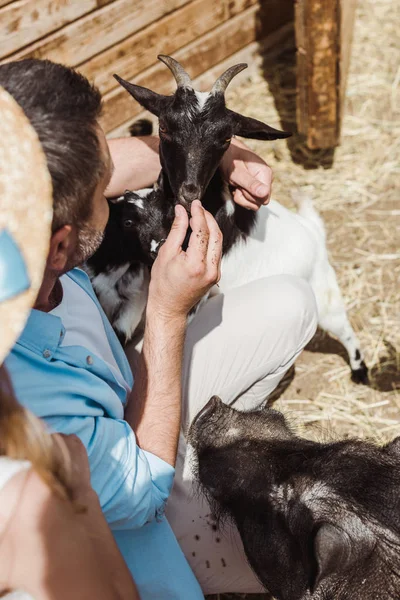 Над головой вид человека, трогающего козу рядом с дочерью и кабаном в зоопарке — стоковое фото