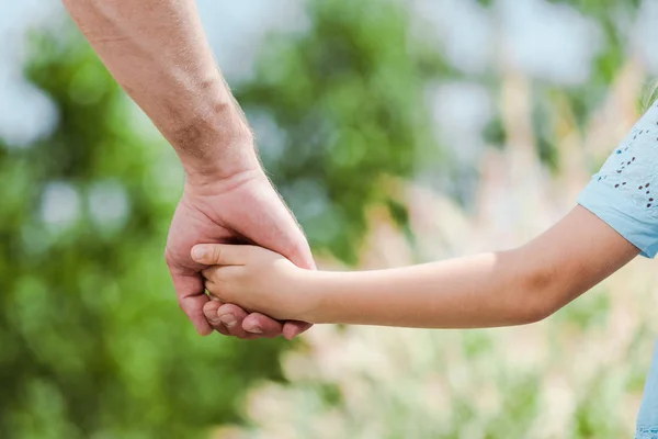 Cropped view of father holding hands with daughter — Stock Photo