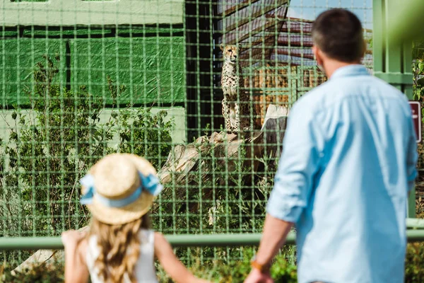 Messa a fuoco selettiva di figlia in cappello di paglia e padre che si tiene per mano mentre guarda il leopardo in gabbia — Foto stock