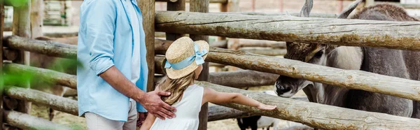 Plan panoramique de l'homme debout près de sa fille gesticulant près du bison — Photo de stock