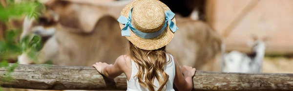 Panoramic shot of child in straw hat standing near fence in zoo — Stock Photo