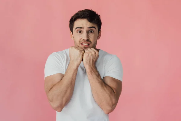 Hombre musculoso asustado en camiseta blanca sosteniendo puños cerca de la cara aislado en rosa - foto de stock