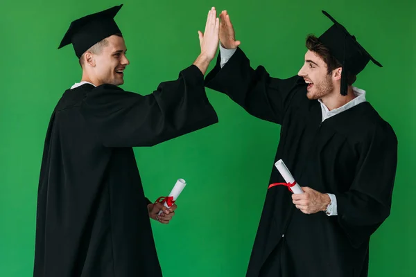 Два счастливых студента в академических шапках, имеющих дипломы и показывающих высокую пятерку знак изолирован на зеленый — стоковое фото