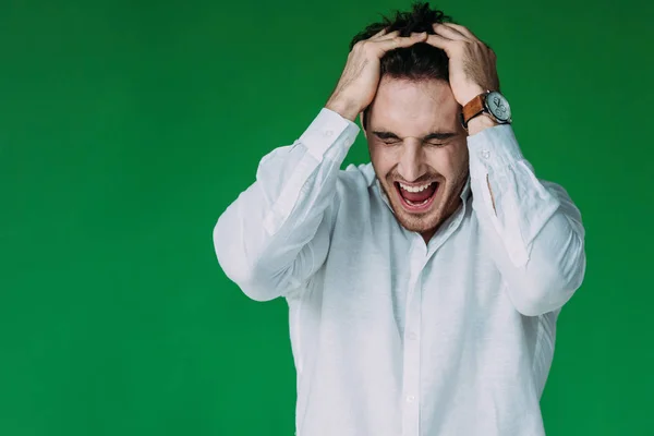 Stressed man in shirt and wristwatch touching head and screaming isolated on green — Stock Photo