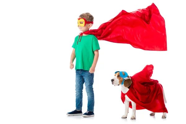 Full length view of smiling preschooler child and beagle dog in masks and red hero cloacks isolated on white — Stock Photo