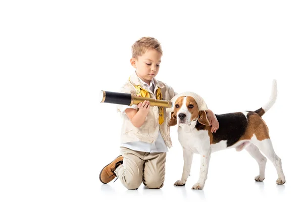 Preschooler explorer boy with spyglass and beagle dog on white — Stock Photo