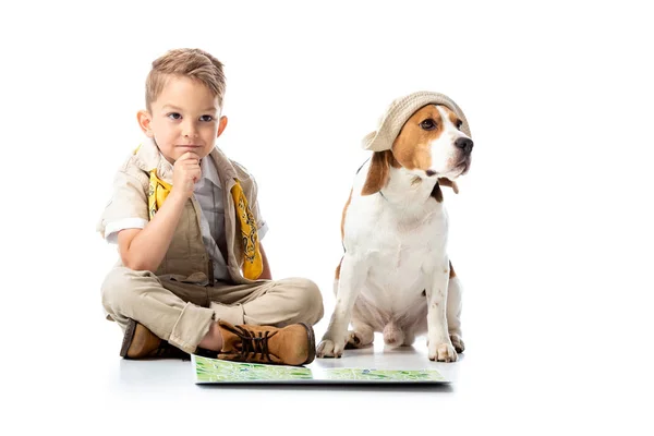 Criança explorador pensativo com mapa e cão beagle bonito em chapéu no branco — Fotografia de Stock