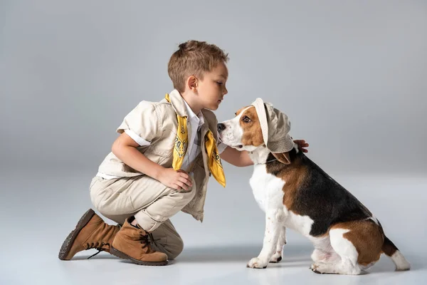 Explorador niño con pañuelo amarillo y beagle perro en sombrero en gris - foto de stock