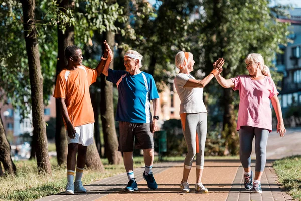 Happy multicultural group of retired men and women giving high five in park — Stock Photo