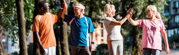 Panoramaaufnahme einer fröhlichen multikulturellen Gruppe pensionierter Männer und Frauen, die High Five im Park geben — Stockfoto