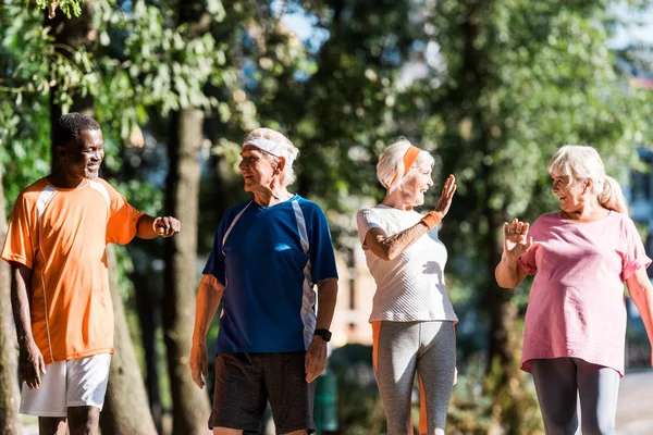 Feliz seniores mulheres gestos perto multicultural aposentados homens no parque — Fotografia de Stock