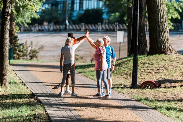 Grupo multicultural de hombres y mujeres jubilados en ropa deportiva dando cinco en el parque - foto de stock