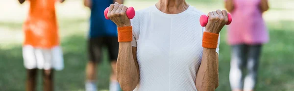 Panoramic shot of senior woman in sportswear holding dumbbells — Stock Photo