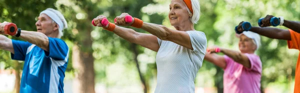 Panoramic shot of senior pensioners exercising with dumbbells in park — Stock Photo