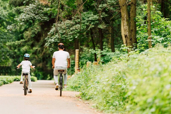 Vista posterior de padre e hijo montando bicicletas alrededor del bosque - foto de stock