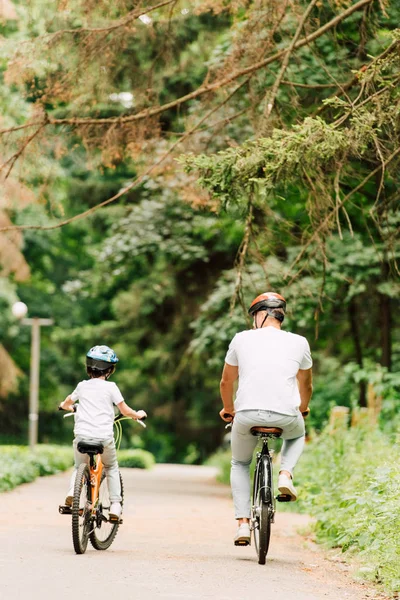 Back view of father and son riding bicycles on road around forest — Stock Photo