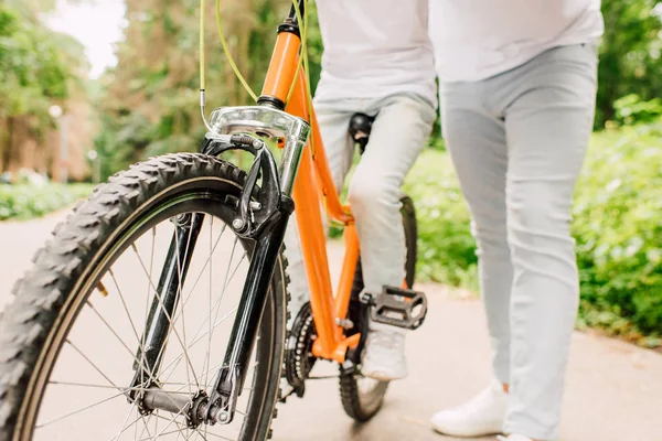 Recortado vista de faher e hijo stading en carretera mientras niño sentado en bicicleta — Stock Photo