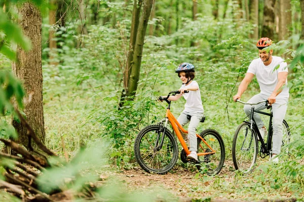 Selective focus of father and son in helmets riding bicycles around forest — Stock Photo