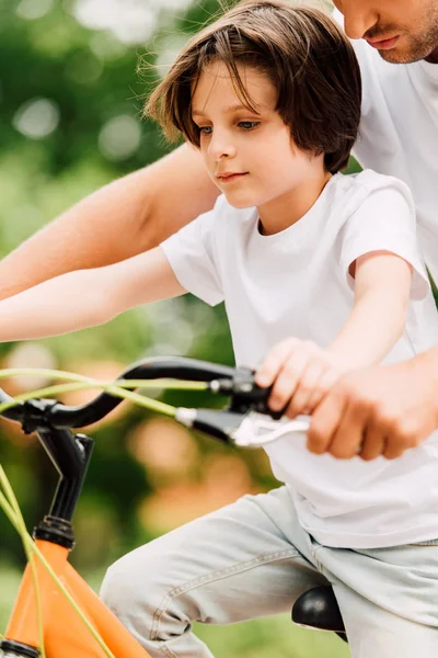 Cropped view of father holding handles of bicycle while son riding on bike — Stock Photo