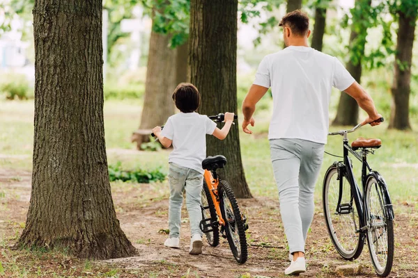 Вид ззаду батька і сина, що йде в лісі з велосипедами — стокове фото