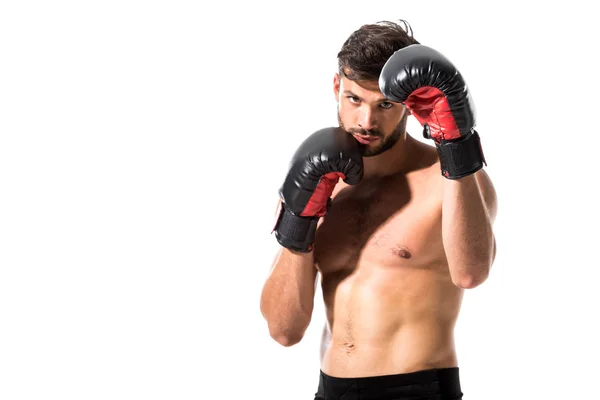 Boxer muscolare in guanti da boxe isolato su bianco con spazio copia — Foto stock