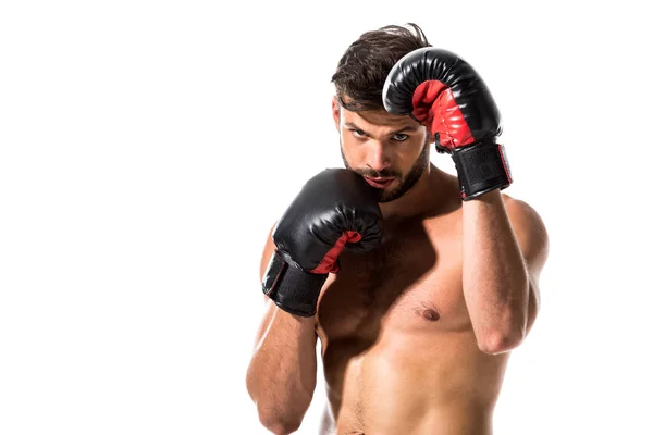 Boxeador muscular en guantes de boxeo aislado en blanco con espacio de copia - foto de stock